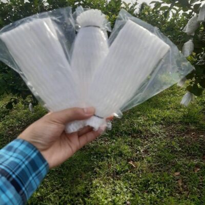 Xốp bọc ổi lồng sẵn trọn bộ